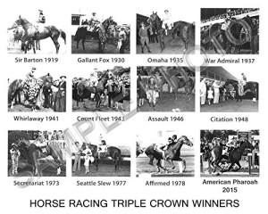 American Pharoah Secretariat Affirmed Horse Triple Crown Winners 8X10 PHOTO