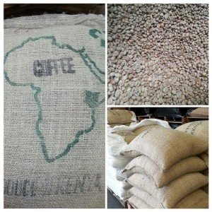 5LBS Kenya Gondo Unroasted Green Coffee Beans