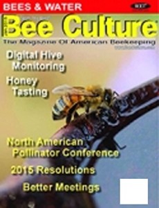 Bee Culture