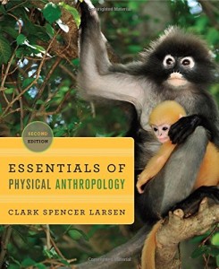 Essentials of Physical Anthropology: Discovering Our Origins (Second Edition)