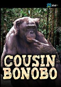 Cousin Bonobo