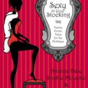 Sexy in Your Stocking: Twelve Erotic Tales for the Holidays